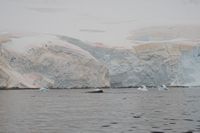 
DSC00095